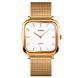 Часы наручные Skmei 1555SGD Gold 1080-2395 фото 1